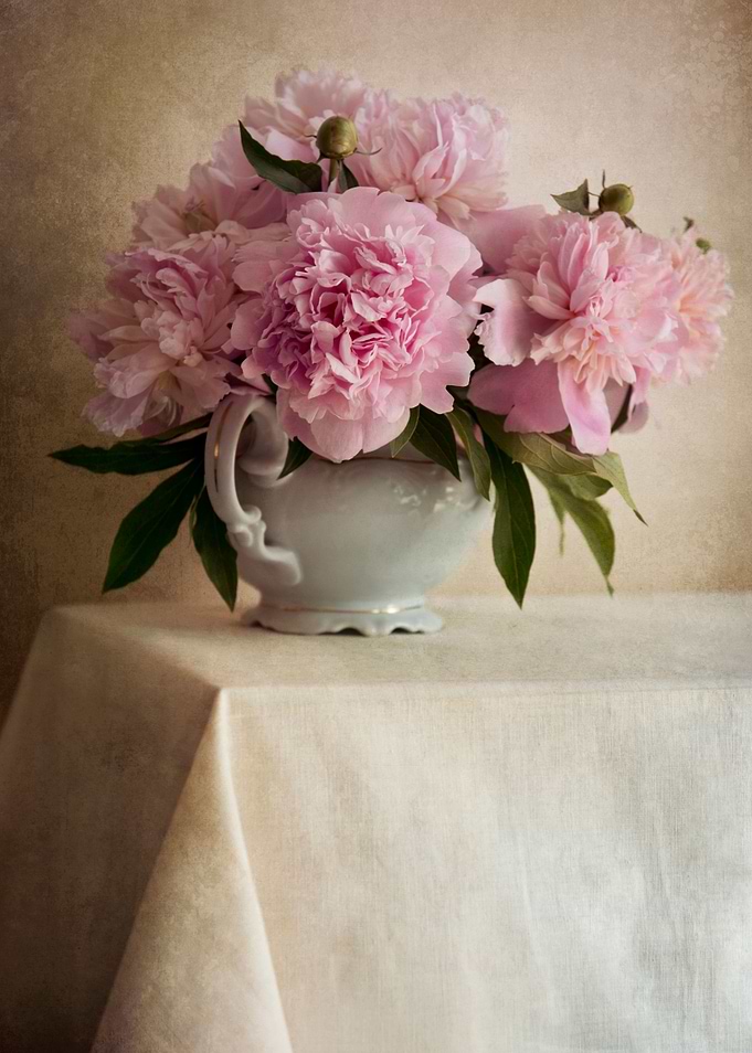 Bouquet of pink peonies in white vase