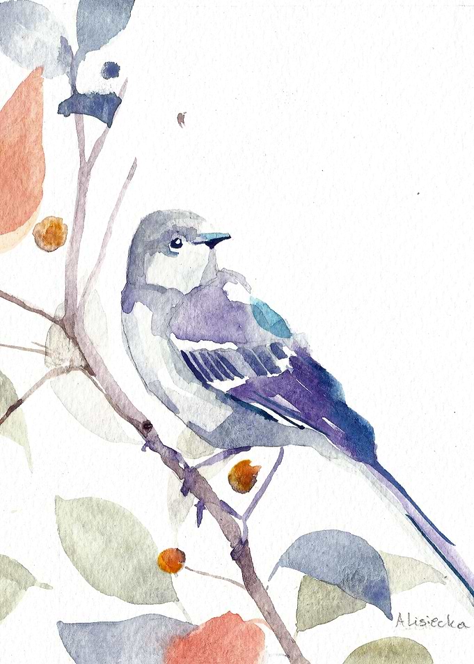 cuckoo