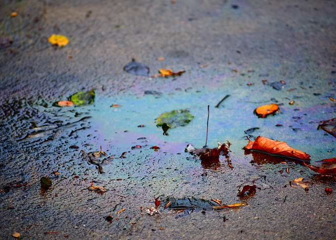 oily leaves