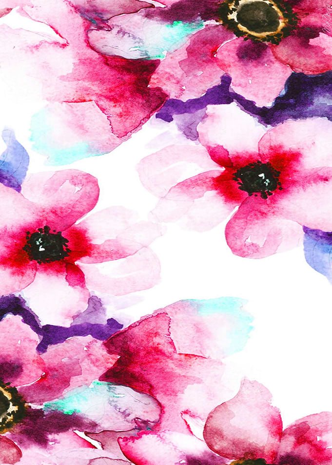 Flowers 04