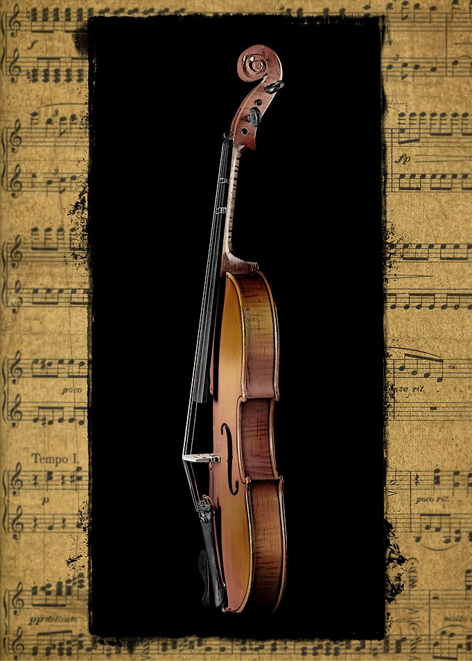 Violin Profile