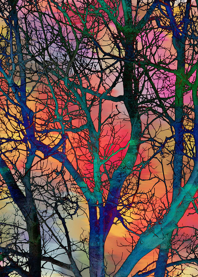 Dreamy Sunset
