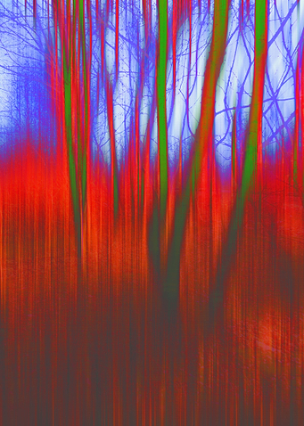 Tinted Woods Blur Photography 2014