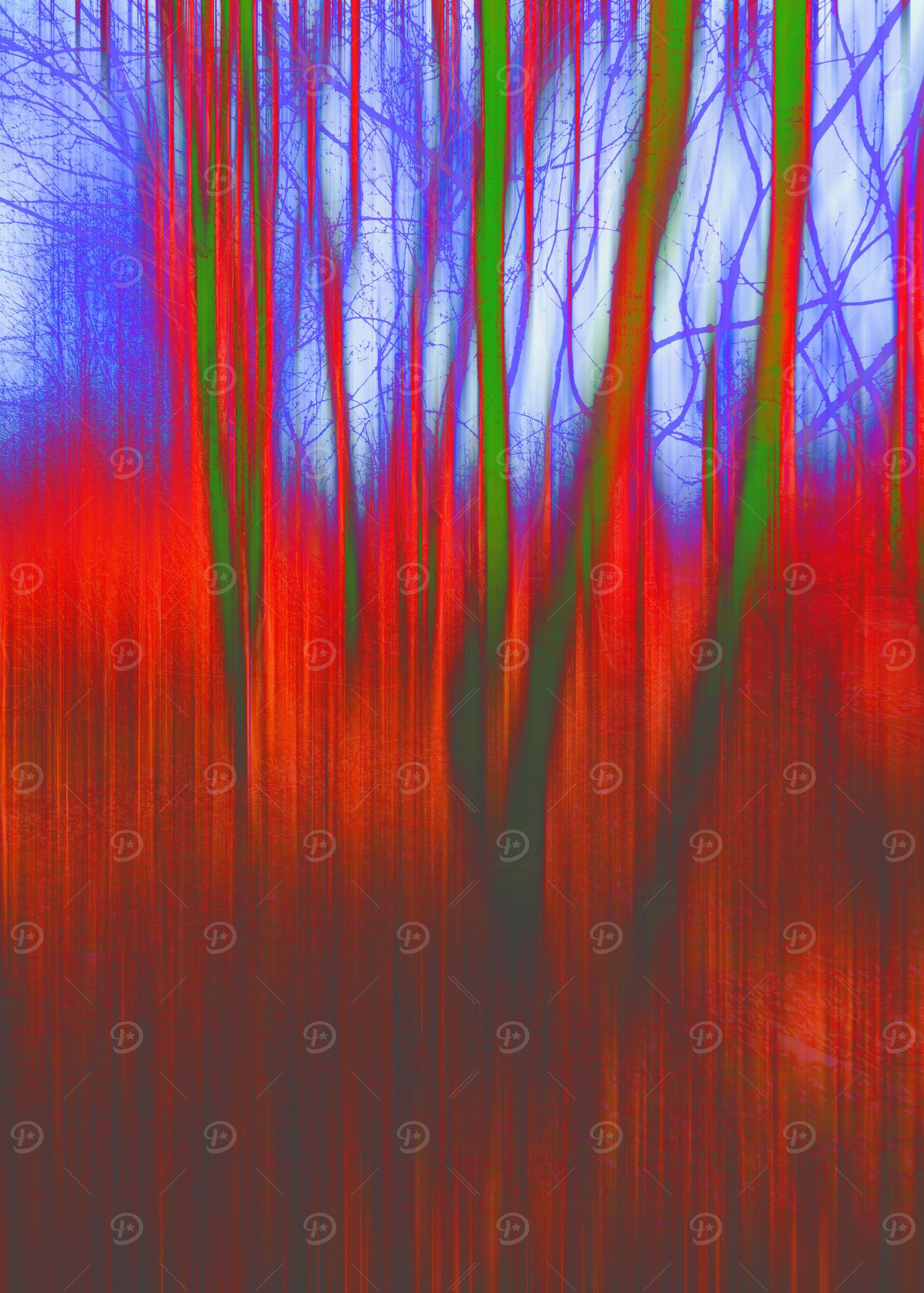Tinted Woods Blur Photography 2014