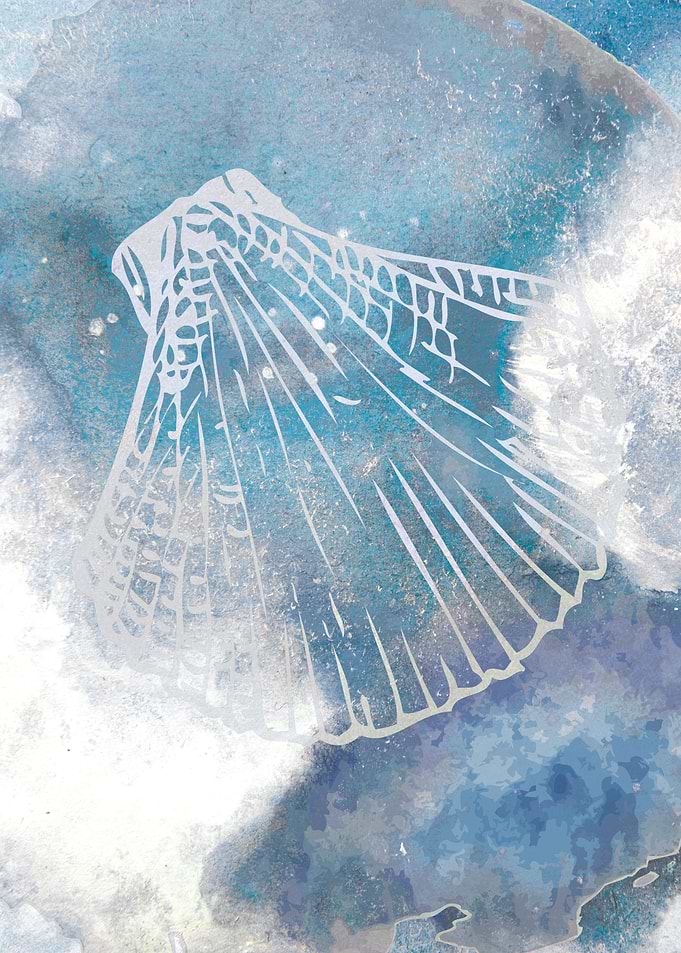 Sea Shell Watercolor Ocean 1