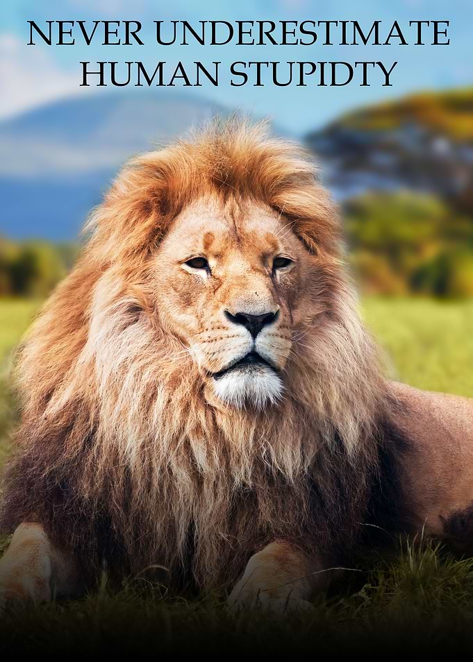Ironic Lion
