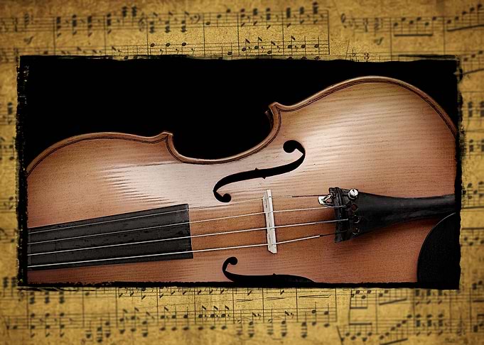 Violin