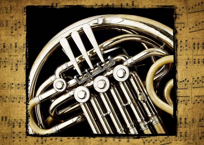 French horn valves