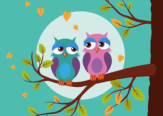 Sleepy owls