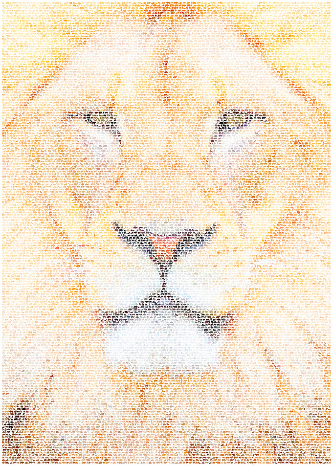 Africa. Created from hundreds of African creatures