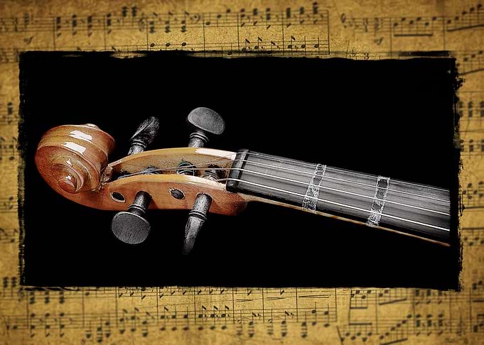 Violin scroll