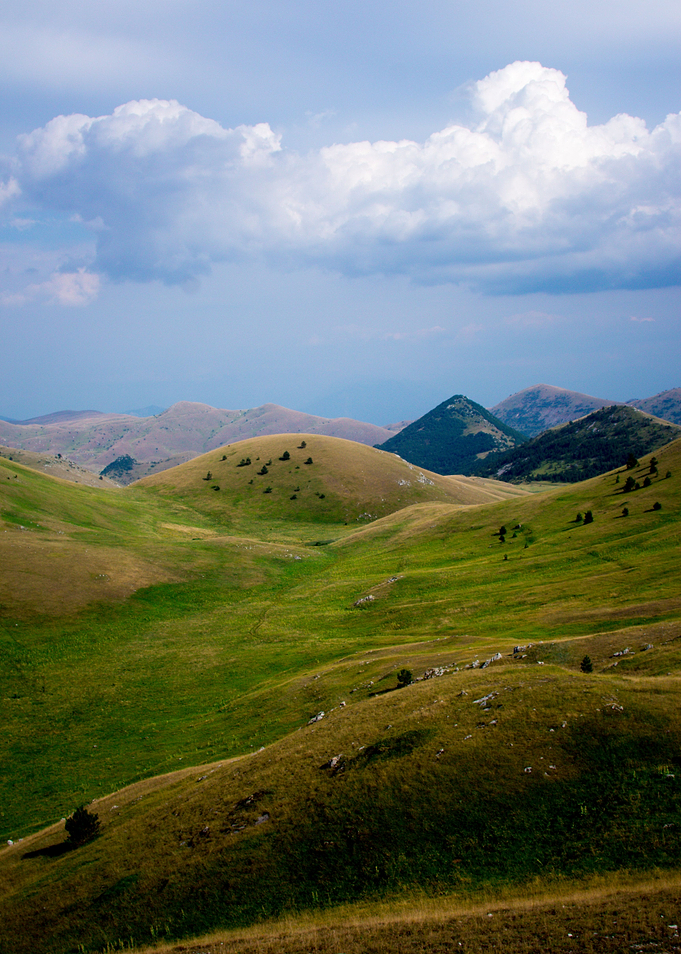 The Valley