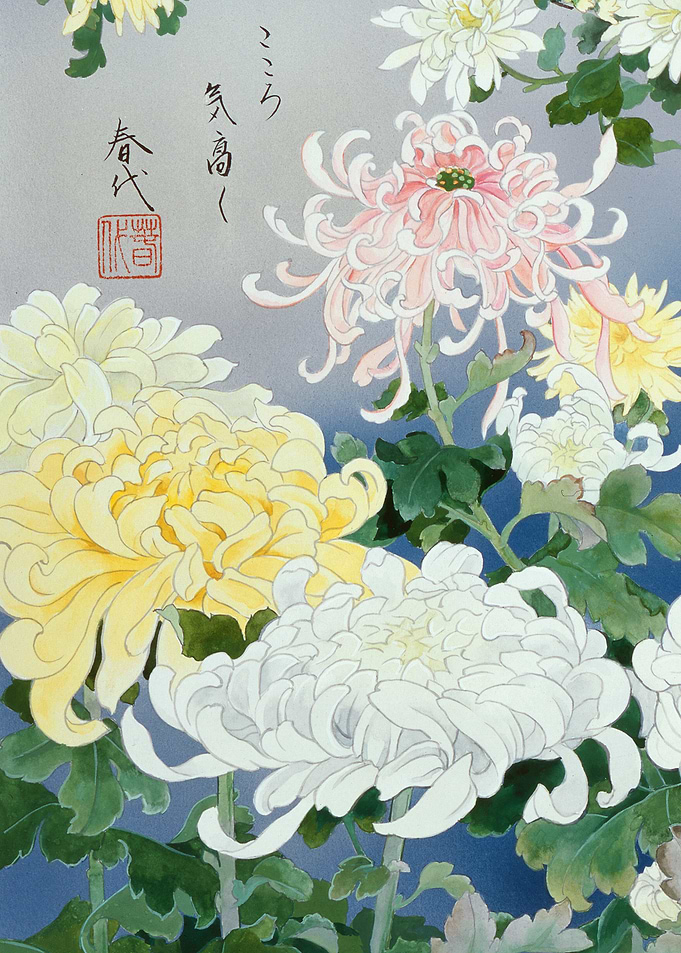 Kiku Flowers