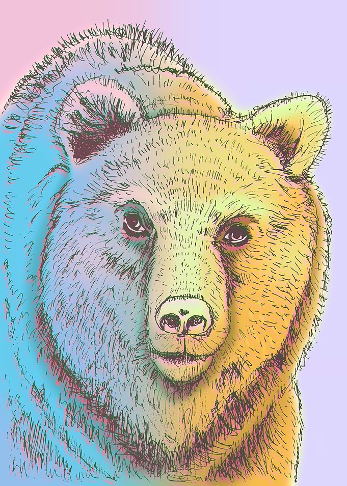 Bear