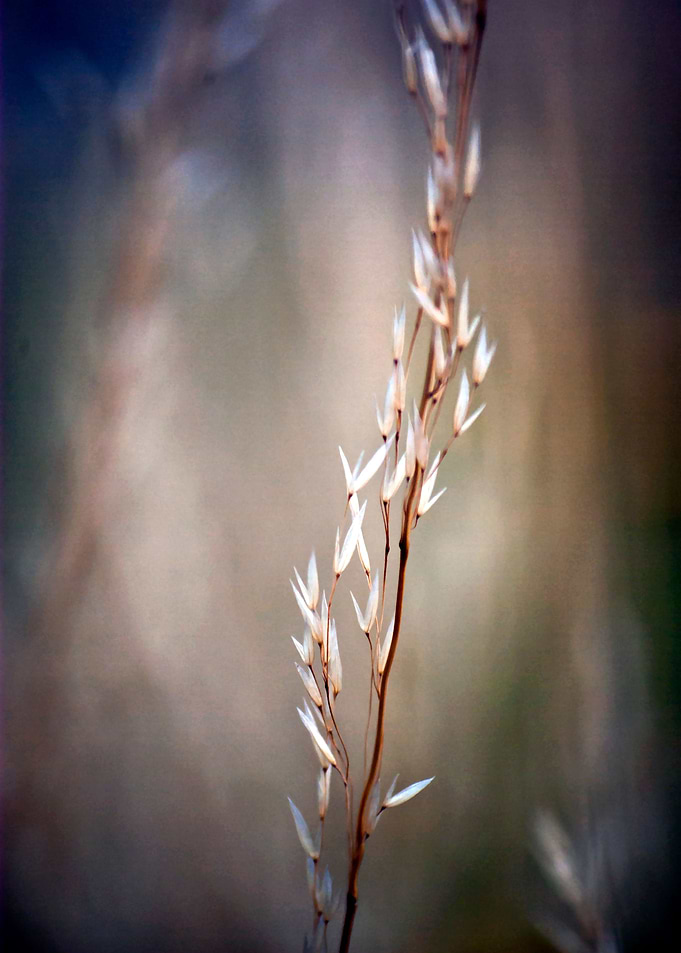 Title: Nature in Harmony no2. The beauty of simple and ...