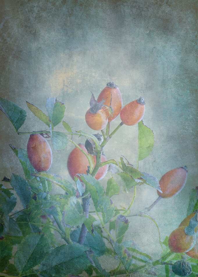 Autumn Symphony 01