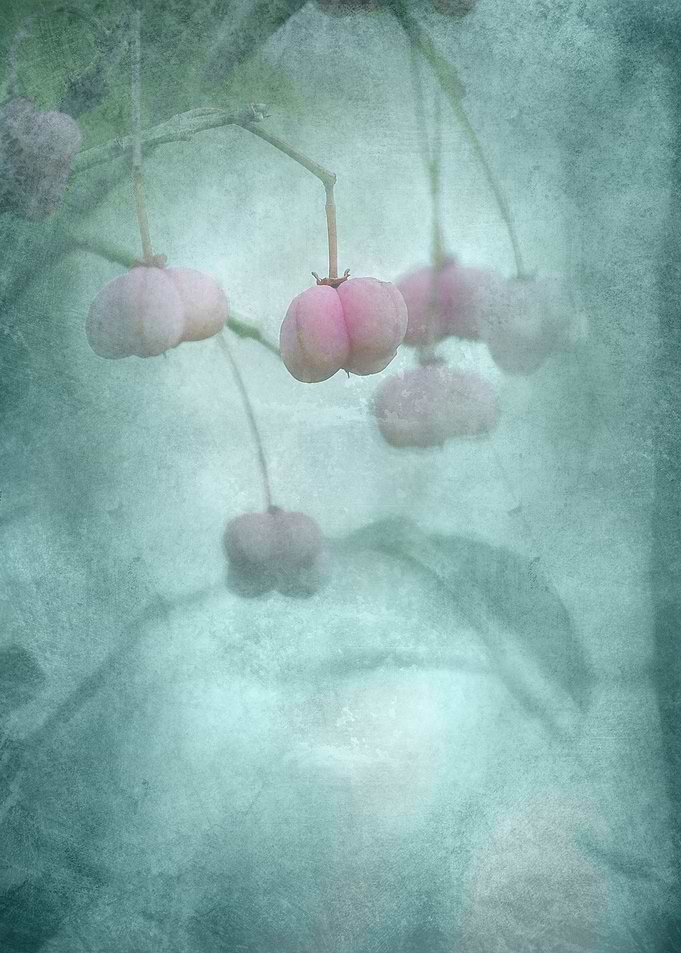 Autumn Symphony 10