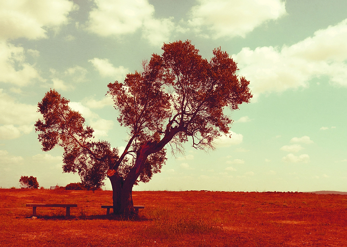 Waiting #2 - Photography
