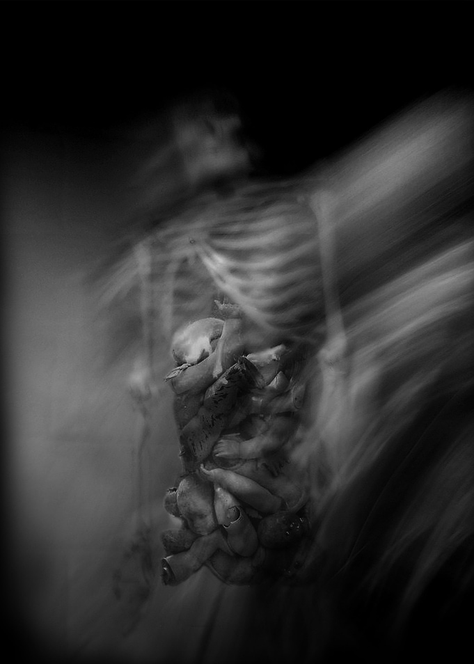 Corpus Morta
