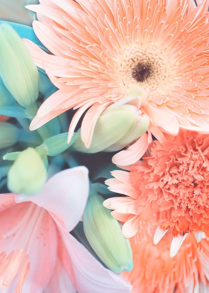 Coral Bouquet