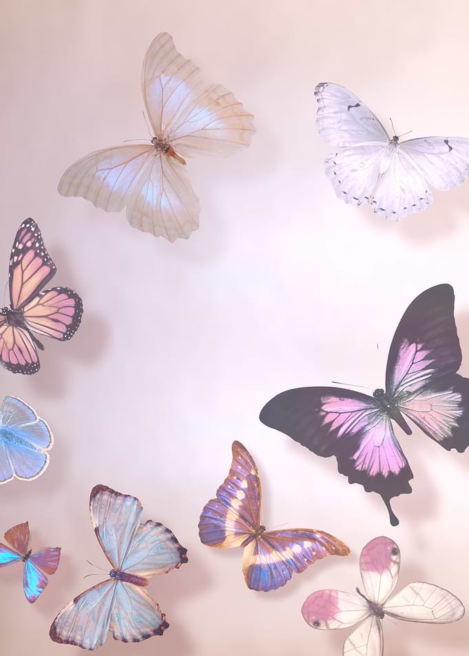 Ethereal Wings