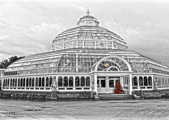 The Palm House Liverpool