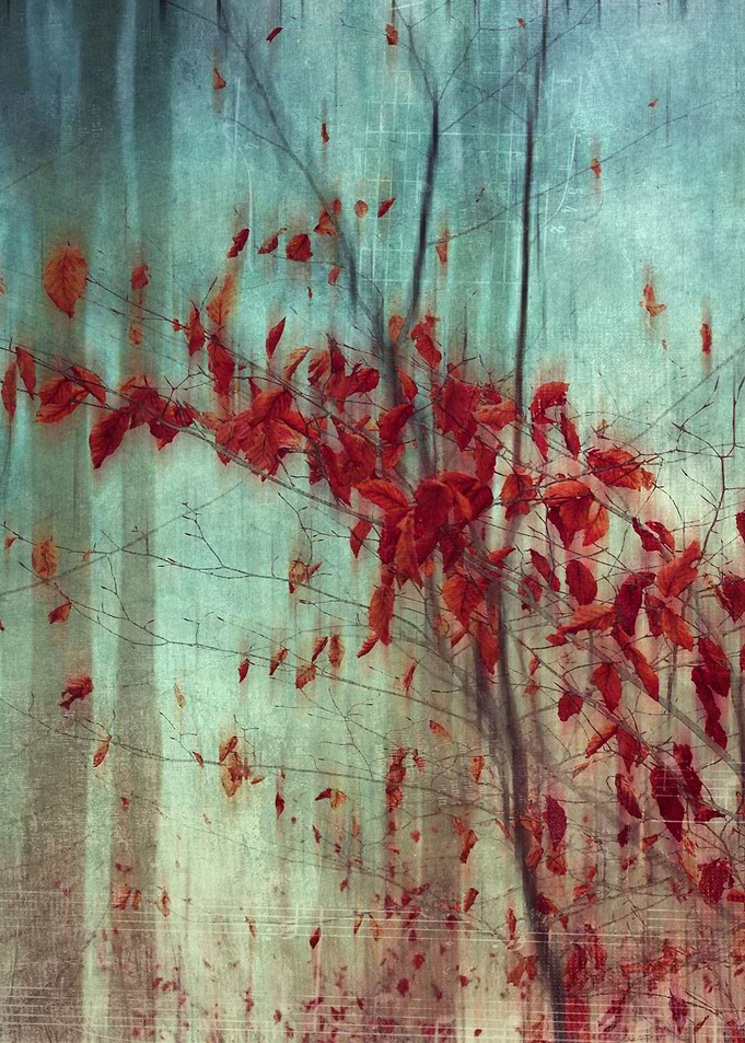 Red fall leaves on misty autumn day - texturized and ma ...