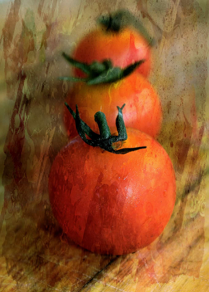 Fresh ripe ready to eat Cherry Tomato bursting with fla ...