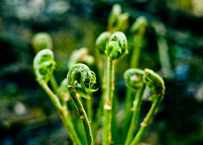 New Life