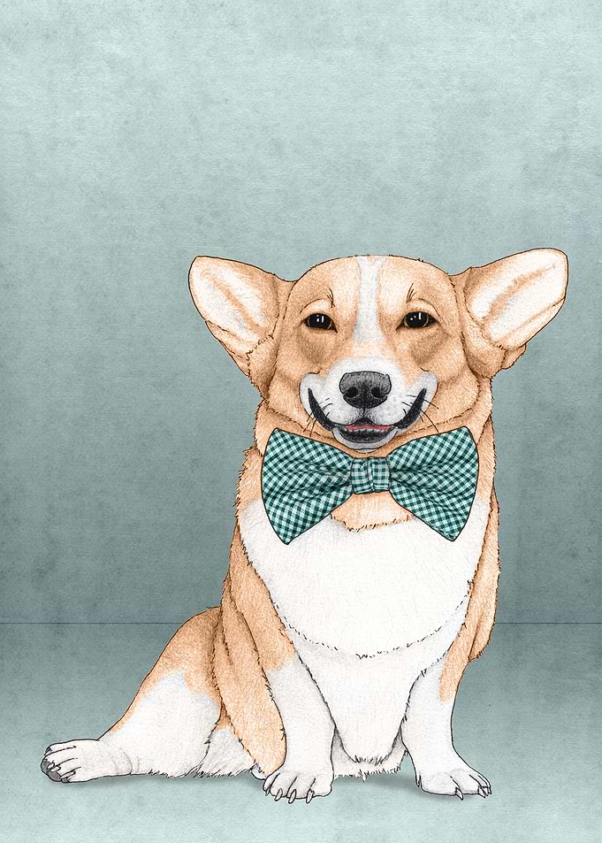 Corgi