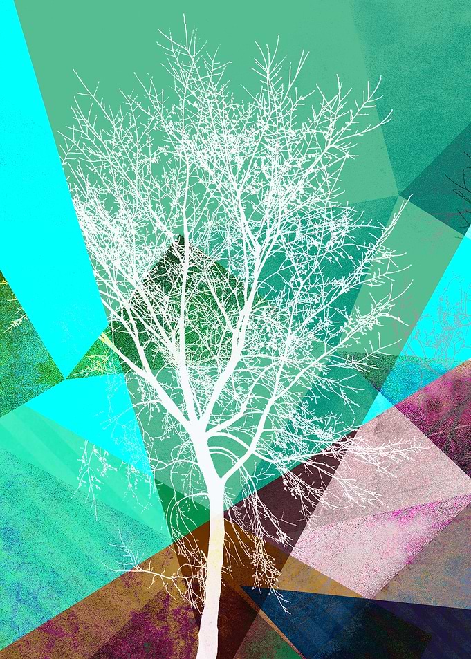 P19 TREES AND TRIANGLES