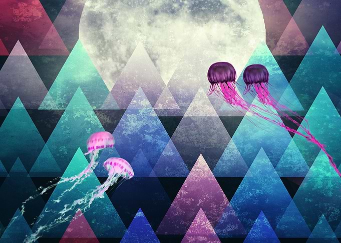 Sleeping Forest