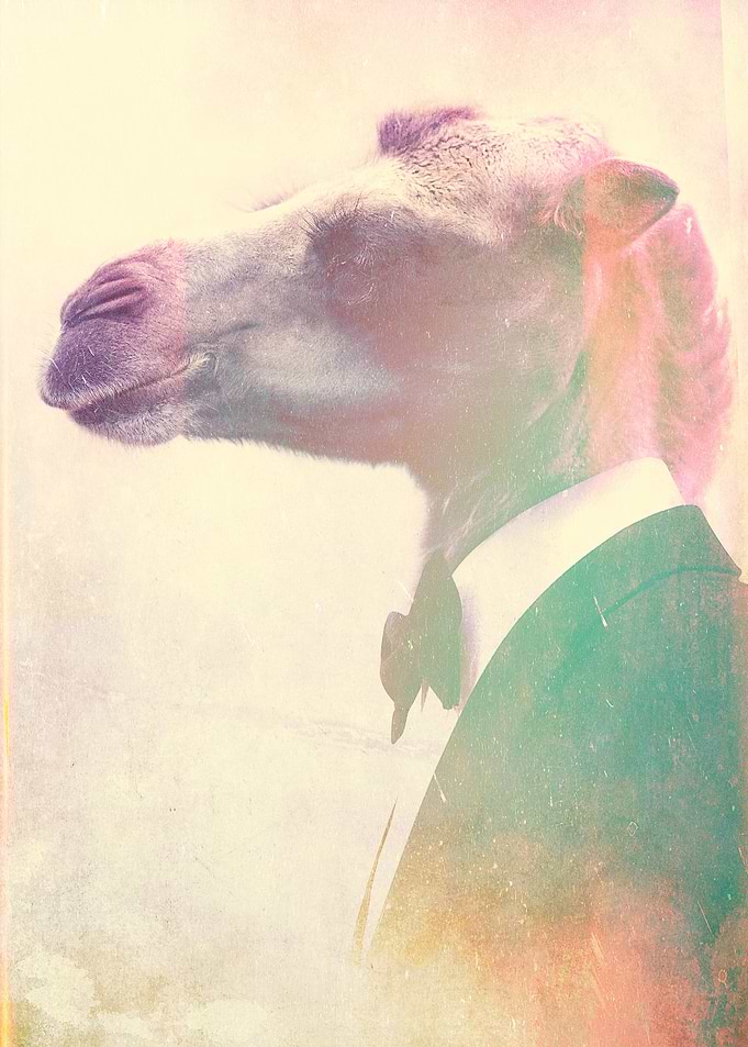 Special Agent Hump