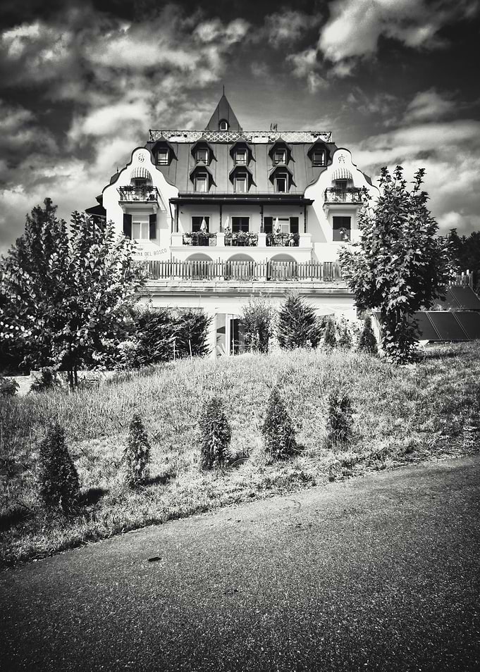Queen of the Wood Hotel