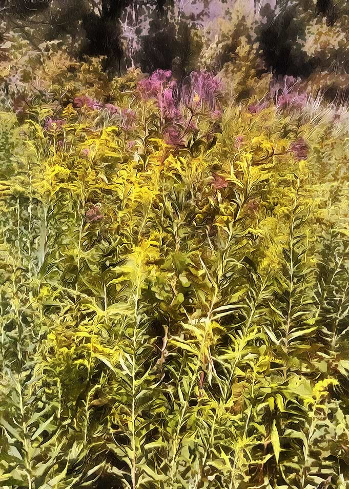 Purple in the brush