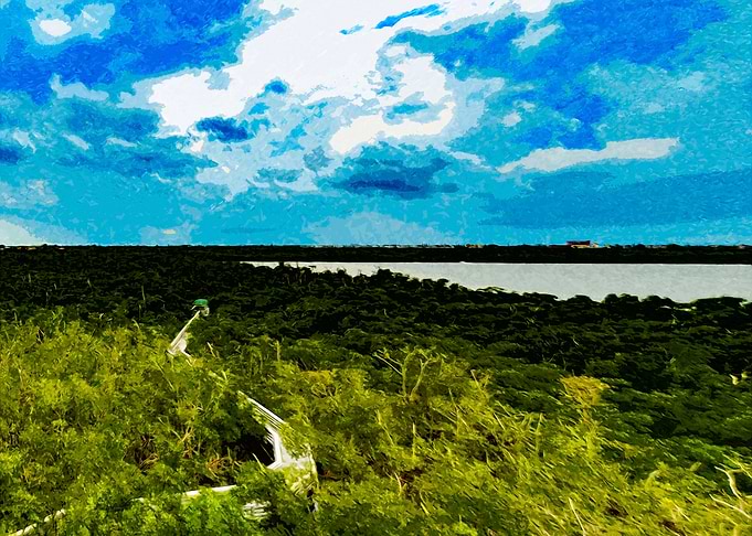 Snaking to River