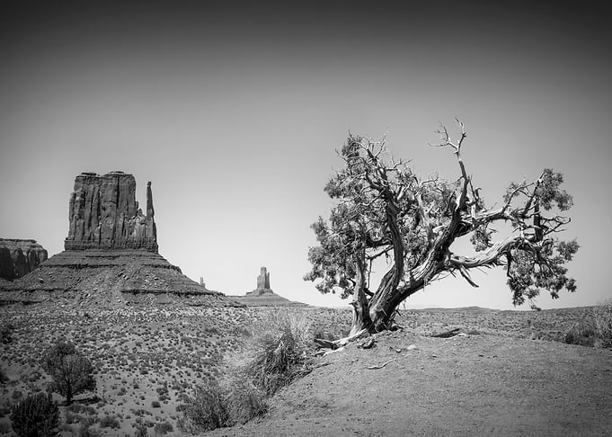 MONUMENT VALLEY Wild West