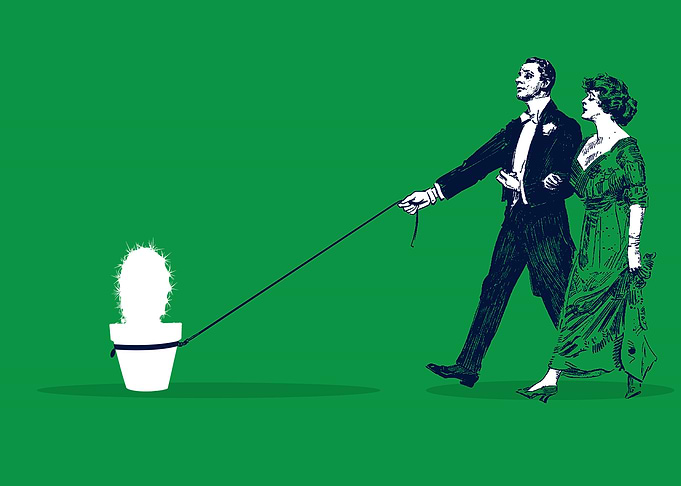 Walking the Cactus