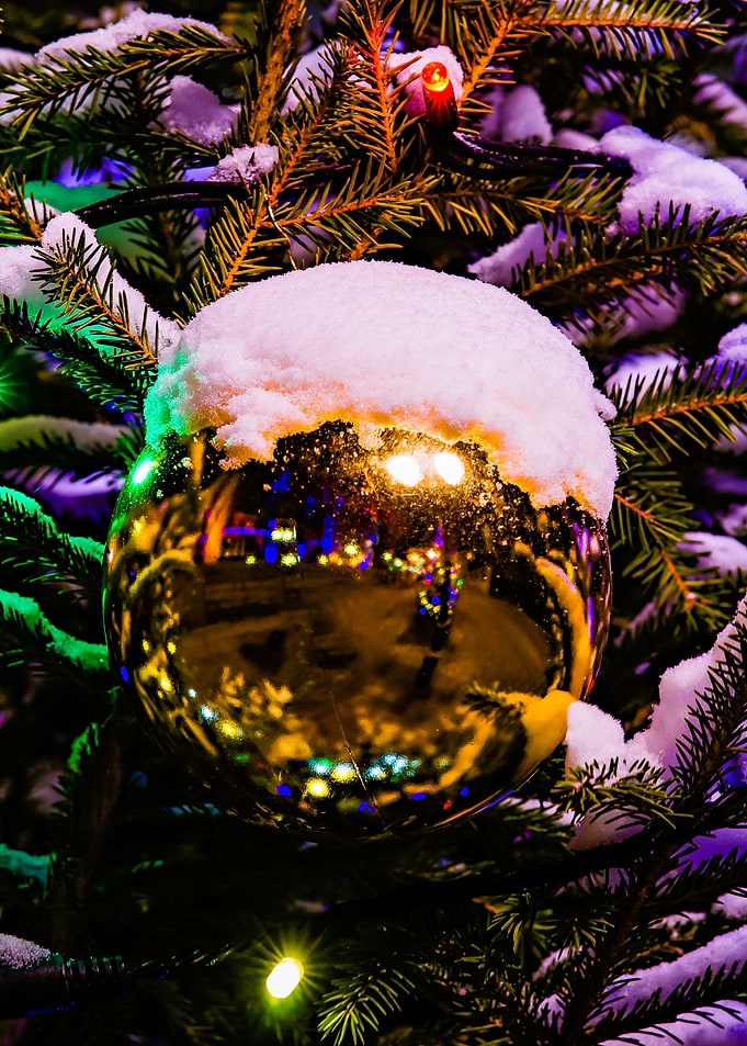 Christmas Tree. Snow cover