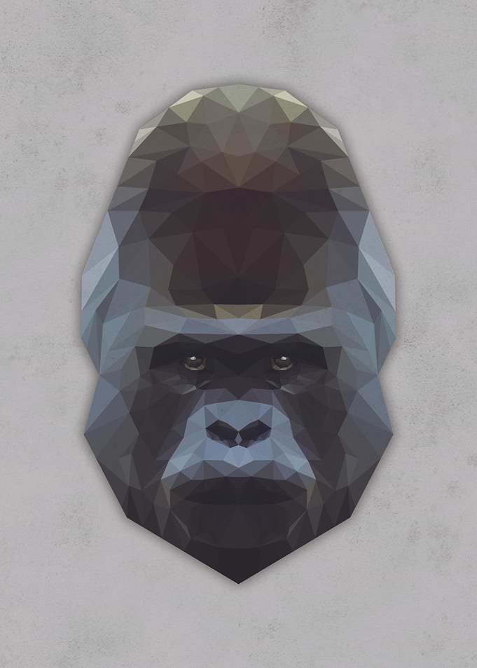 GORILLA