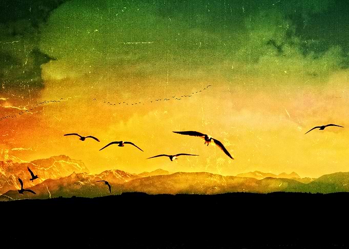 Horizon Yellow