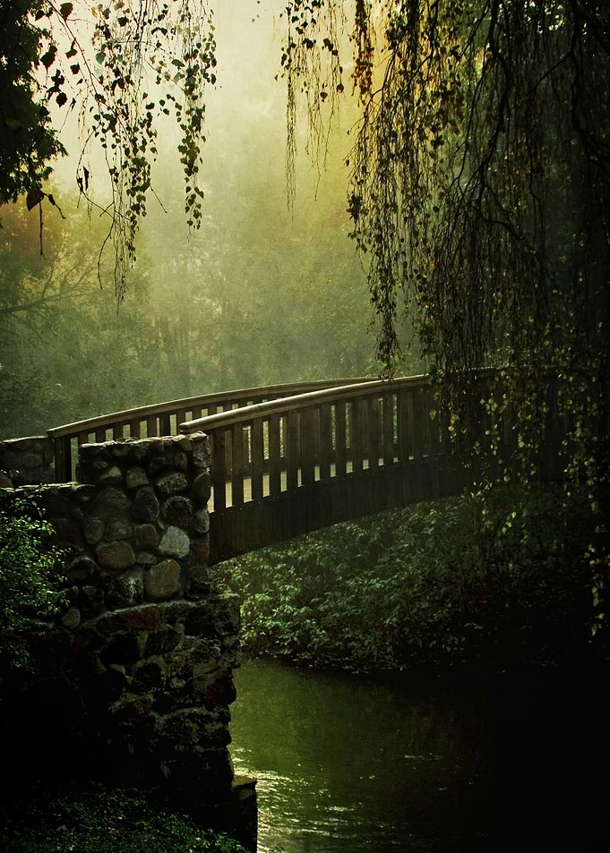 Wooden bridge in an old park