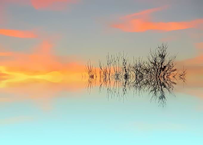 Sky twigs