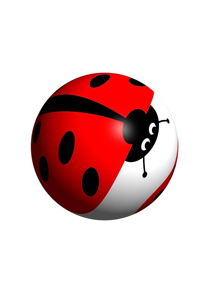 Ladybug Globe A ladybug globe looking down on white bac ...