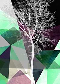 P21 TREES AND TRIANGLES