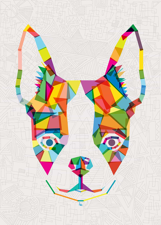 Rainbow Bulldog