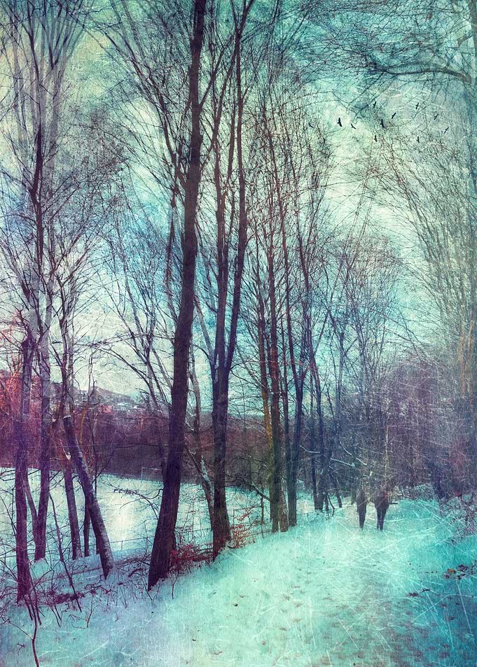 Winter Day - couple walking through a wintry landscape