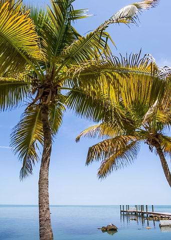 FLORIDA KEY Just Paradise