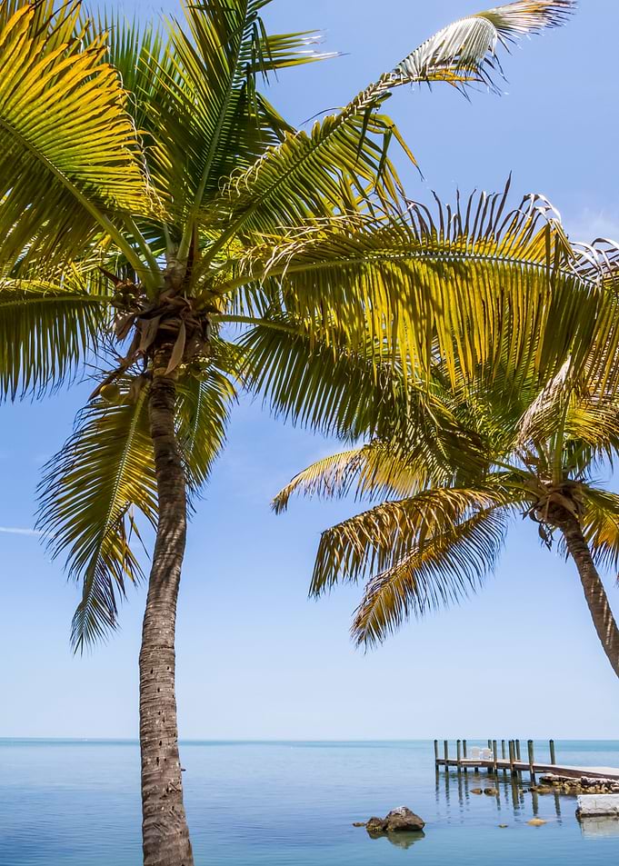 FLORIDA KEY Just Paradise