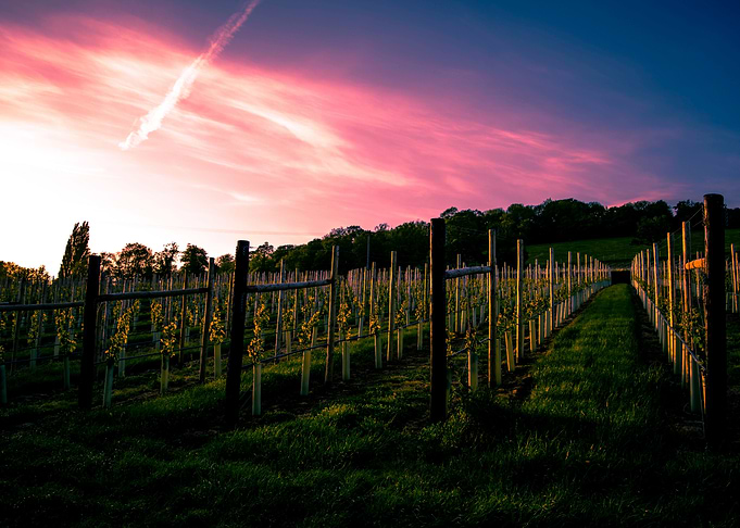 countryside